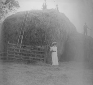 Haymaking