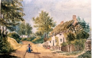 Petty Cote Lane houses c1860