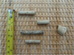 Clay pipe fragments dug up in Swanbourne 100-300 years old