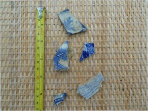 Willow leaf pottery fragments dug up in Swanbourne