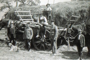 Haymaking c1918 at Buxlow Farm.