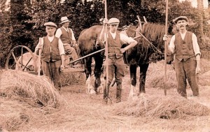 Haymaking in the 1920's