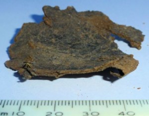 Leather shoe fragment find